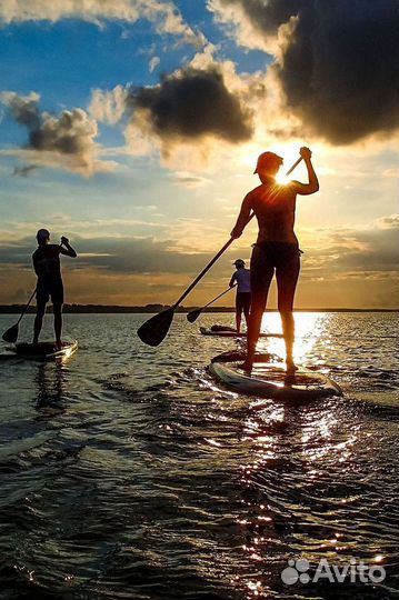 Аренда сап/сап прогулки / SUP boarding (обучение)