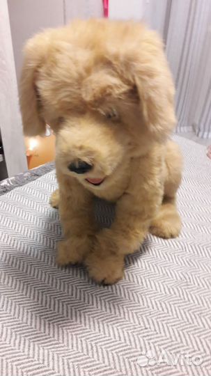 Интерактивная игрушка собака Бисквит