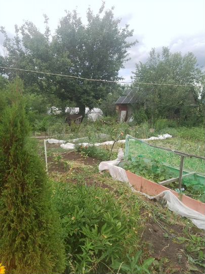 Дом 20 м² на участке 5 сот.