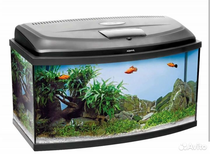 Аквариум aquael 120 л и акв-ые принадлежности