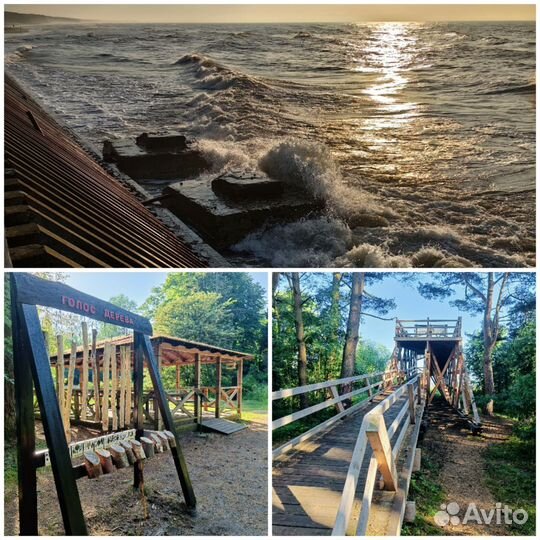 Экскурсия на Куршскую косу. Побережье