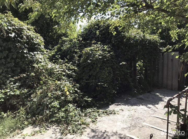 Уборка участка, спил деревьев, покос травы, вывоз