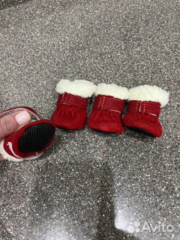 Одежда для животных