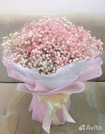 Живые цветы букеты гипсофила,букет цветов гипсофил
