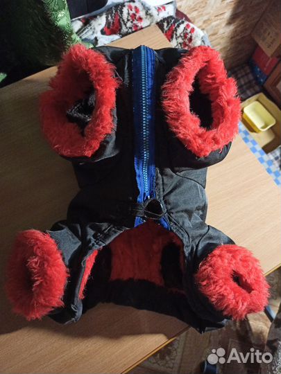 Шубка для некрупного французского бульдога