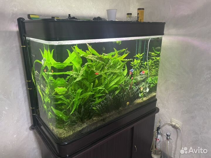 Продам аквариум тумба