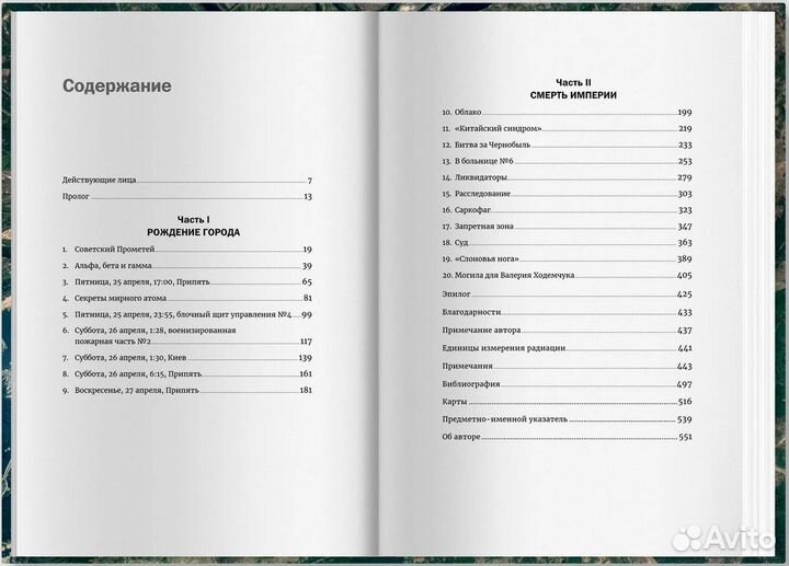 Книга Чернобыль: История катастрофы (Хиггинботам)