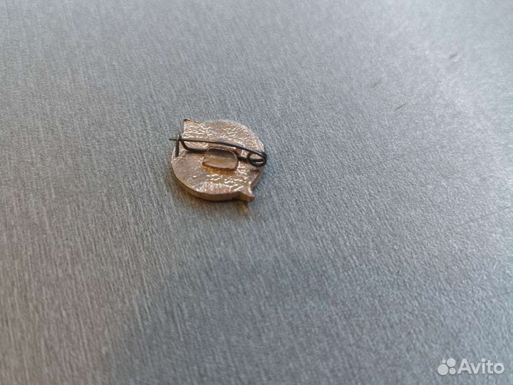 Значок дсо Юность