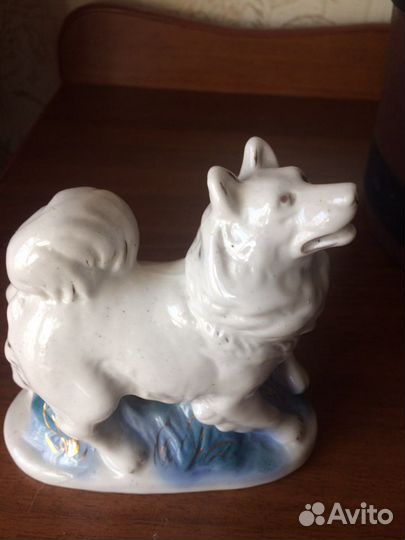 Собака СССР