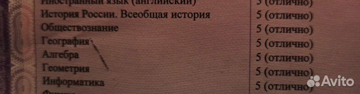 Репетитор по математике и информатике