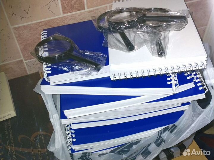 Рабочие тетради.Книги и др (Садовая