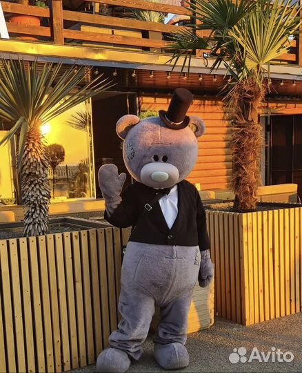 Поздравление мишка тедди