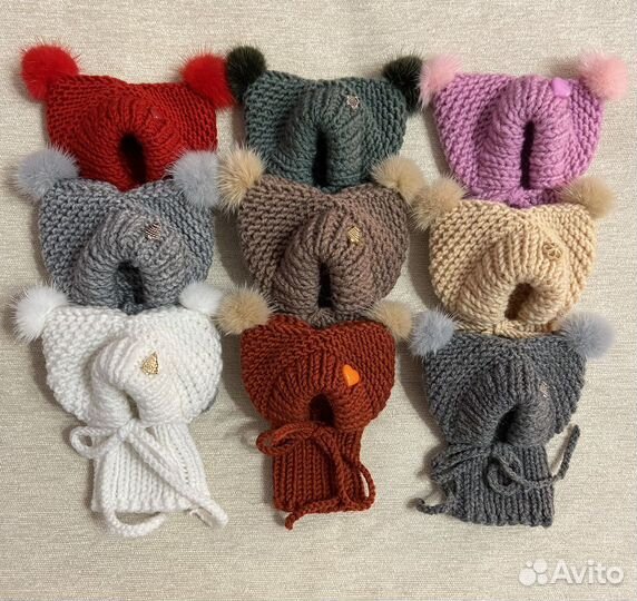 Одежда для собак