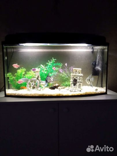 Аквариум