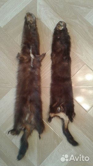 Шкурки: норка, нутрия, куница