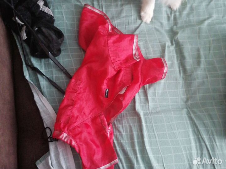 Одежда для собаки