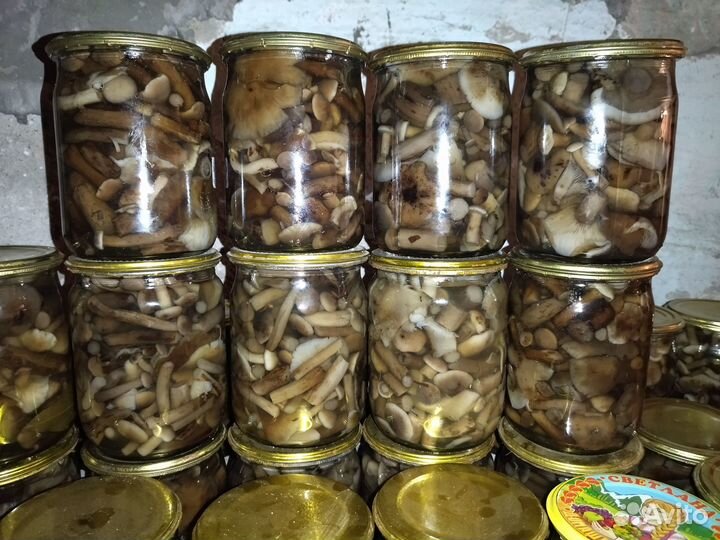 Грибы опята маринованные