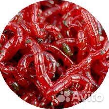 Живец для рыбалки