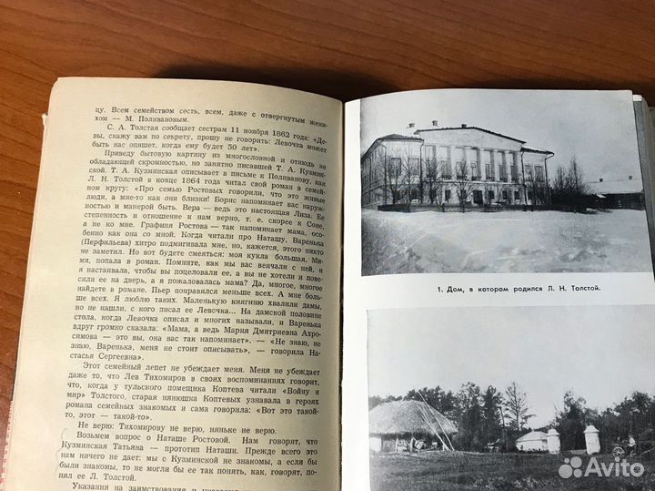 Шкловский Лев Толстой Жизнь Замечательных Людей