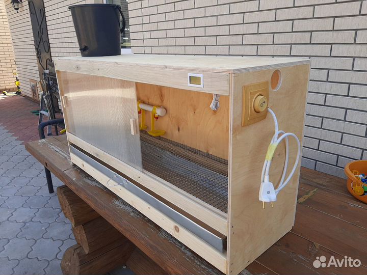 Брудер для цыплят