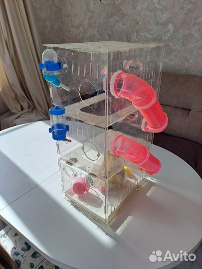 Клетка для грызунов очень большая