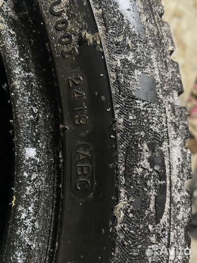 Maxxis NP5 Premitra Ice Nord 205/55 R16 19T