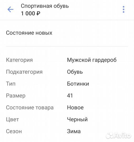 Лыжные ботинки