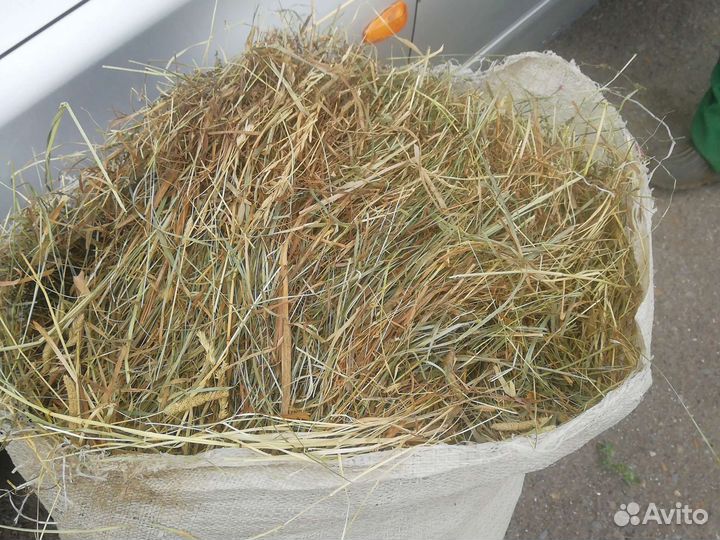 Сено в брикетах и в мешках