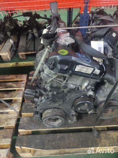 Двигатель Форд Фокус 2 1.8i qqdc