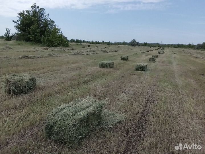 Сено в тюках. Разнотравие