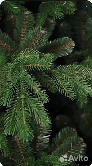 Ель искусственная Аврора Царь Елка 240 см