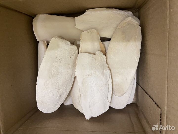 Сепия панцирь каракатицы (не соленая )