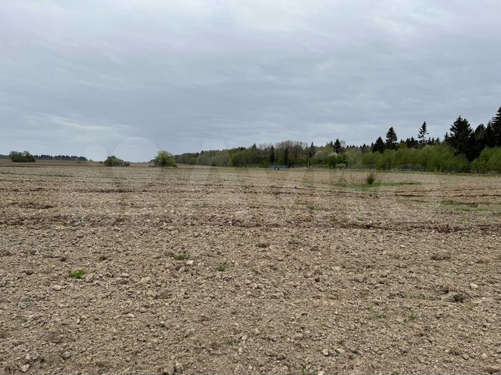 Участок 1,9 га (СНТ, ДНП)