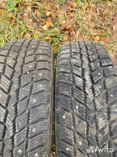 Nexen Winguard 231 185/65 R15