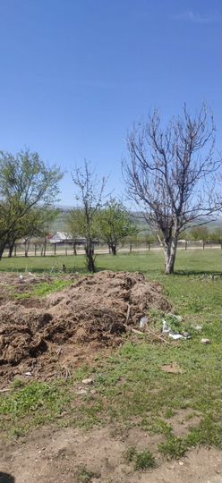 Участок 4 сот. (СНТ, ДНП)