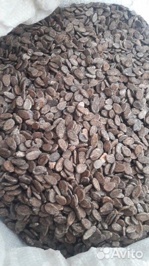 Семена арбуза