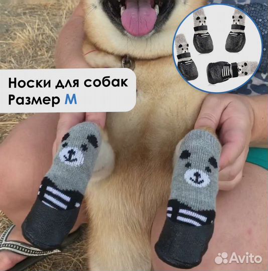Носки для собак