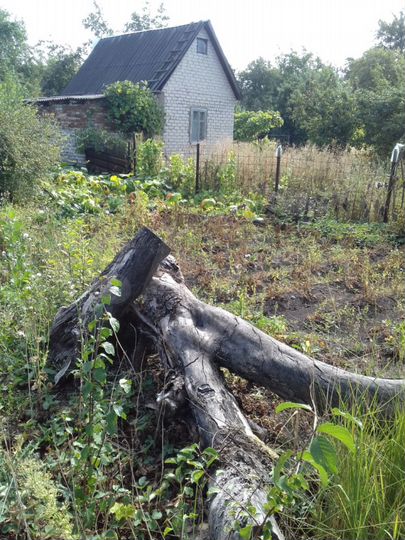 Дача 30 м² на участке 13 сот.