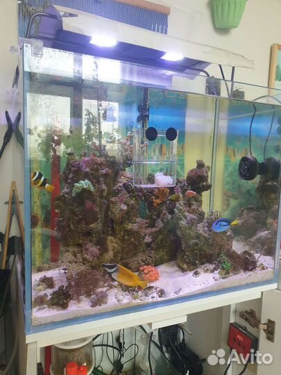 Аквариум с тумбой 180 л