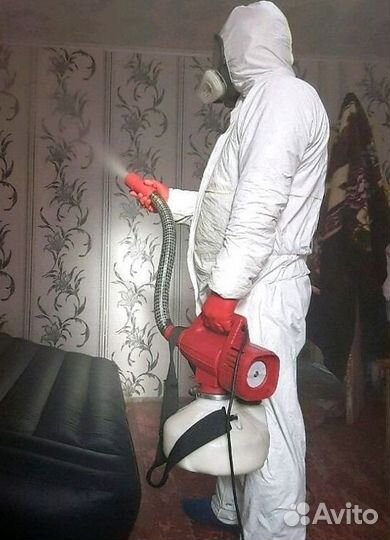 Средство для Уничтожения клопов травли тараканов, блох