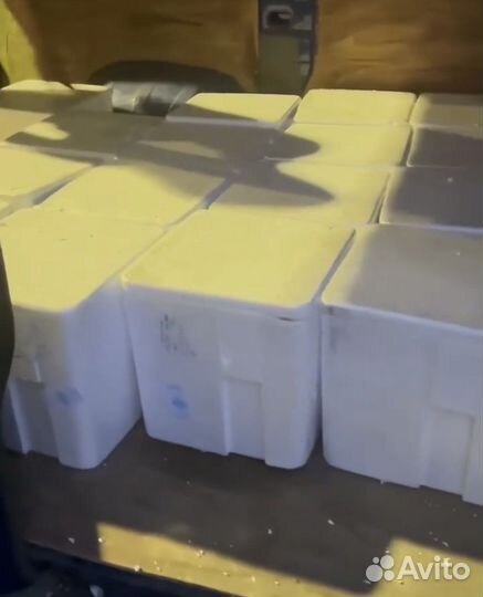 Красная икра Кижуча