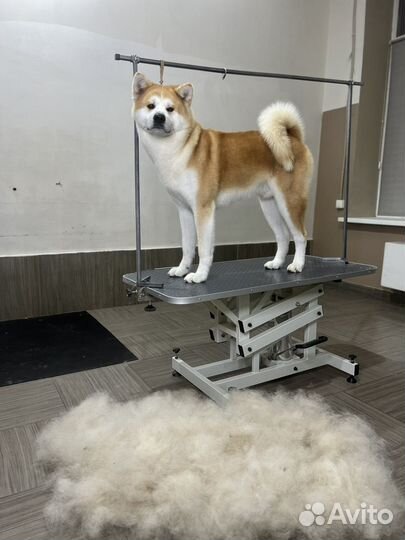 Услуги грумера