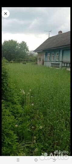 Покос травы триммером