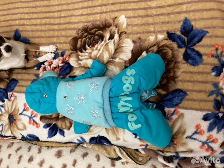 Куртка для мини пород собак