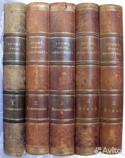 Брэм Брем А.Э. «Жизнь животных» в 10 т