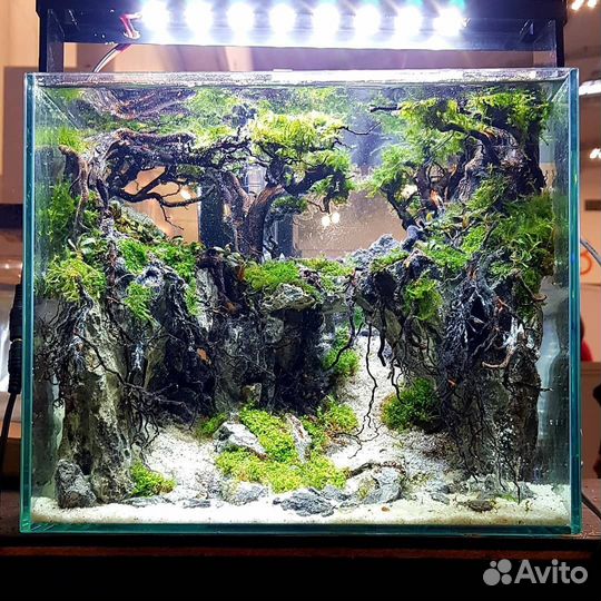 Коряги для аквариума,композиции,бонсай