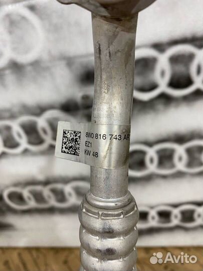 Патрубок охлаждения Audi S5 F5 2020 8W0816743AR
