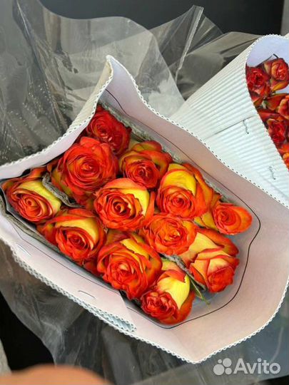 Роза Эквадор Оптом и в розницу