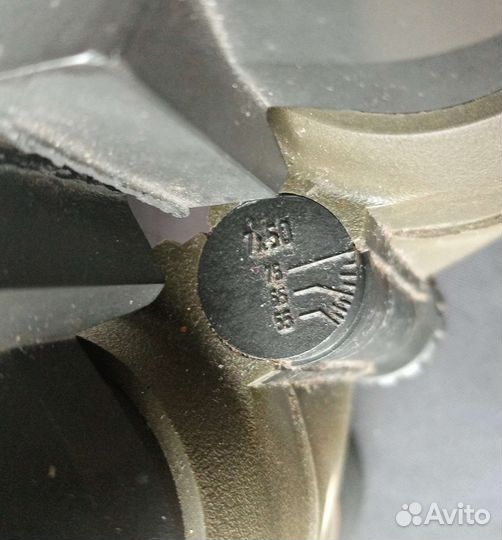 Бинокль swarovski