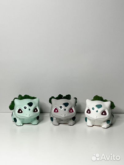 Бульбазавр кашпо со стабилизированным мхом